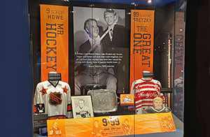The New Acquisitions display