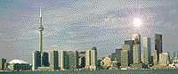 Beautiful T.O.